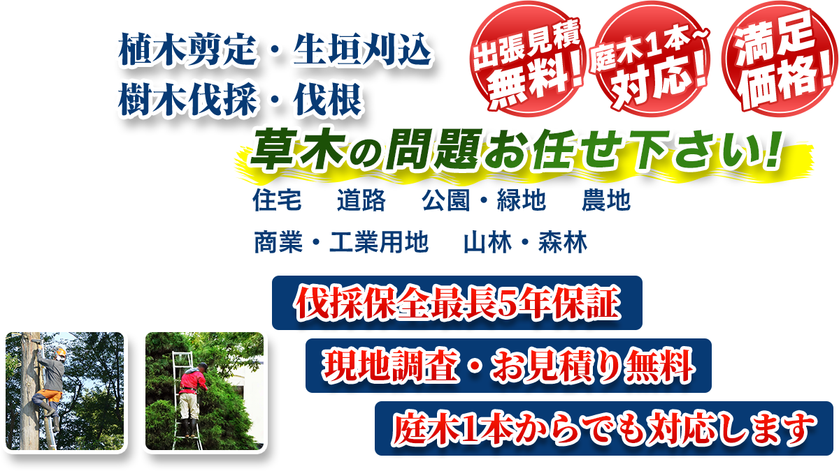 神戸・北摂エリア即対応!! 出張無料! 庭木1本~対応! 満足価格! 植木剪定・生垣刈込 樹木伐採・伐根 草木の問題お任せ下さい! 住宅 道路 公園・緑地 農地 商業・工業用他 山林・森林 伐採保全最長5年保証 現地調査・お見積り無料 庭木1本からでも対応します